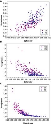 Multiscale Three-Dimensional Morphological Characterization of Calcareous Sand Particles Using Spherical Harmonic Analysis